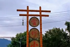 走进华中第一雷竹小镇，探秘湖北节节升竹业，看竹子成为抢手货！视频封面