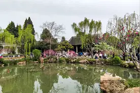 曲径通幽处，徐园隐绿阴。视频封面