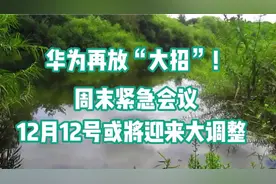 华为再放“大招”！周末紧急会议，12月12号或将迎来大调整视频封面