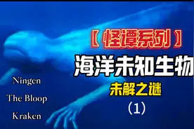 【怪谭系列】恐怖深海巨大未知生命体！关于南极巨人和深海怪音！