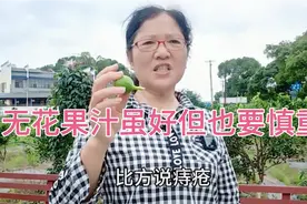 无花果汁虽然对皮肤有治疗效果，但也有损伤，除了治病，不要粘它视频封面