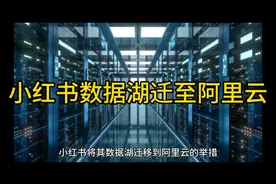 小红书数据湖迁至阿里云视频封面