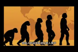 原始人的进化史