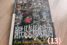 世界文学名著《钢铁是怎样炼成的》〔俄〕尼.奥斯特洛夫斯基 13