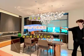 230平下叠别墅🏡，新加坡式森居园林风格！看看是不是你喜欢的？视频封面