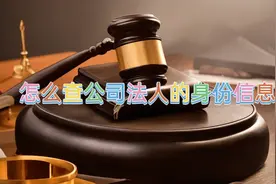 怎么查公司法人的身份信息和联系方式视频封面