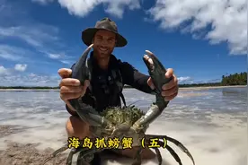 户外打野！抓螃蟹！烧烤！视频封面