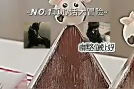 真心话大冒险视频封面