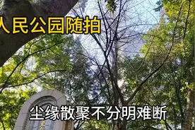 说好的相亲角呢？都说人民公园人挤人，真是这样？视频封面