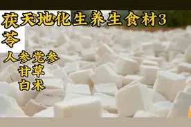 天地化生养生食材3人参党参甘草白术茯苓视频封面