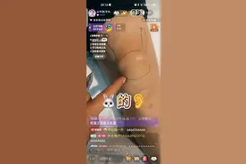 兔子的耳朵视频封面