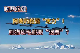 听风的蚕：阿朗的超强定力，且看熊猫和毛熊如何应对