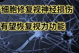 干细胞修复视神经损伤，有望恢复视力功能视频封面