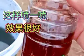 食醋加点东西喷在黄瓜上，能把弯曲的黄瓜拉直，防治畸形果