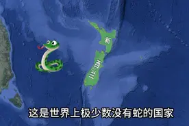 新西兰拥有得天独厚的位置，国民平均收入4.8万美元视频封面