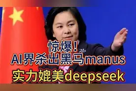 长江后浪推前浪，中国AI界再出黑马，实力媲美deepseek。视频封面