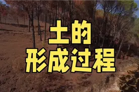 土的形成过程