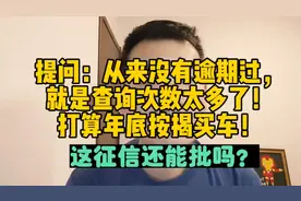 提问：查询次数太多了！打算年底按揭买车，这征信通过率高吗？视频封面