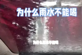 为什么雨水不能喝视频封面