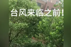 11号狂台“摩羯”肆虐海南文昌，现场随拍。