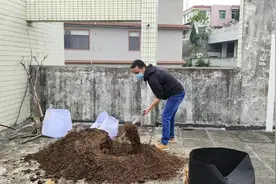 有机土怎么发酵？教你2种最简单发酵方法，在家不花钱自制营养土视频封面