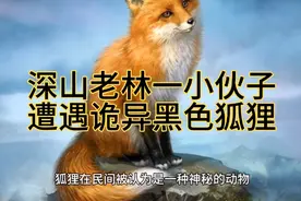深山老林一小伙子遭遇诡异黑色狐狸。