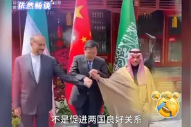 原来大使馆最大的作用不是促进两国关系，而是专门哄中国留子的视频封面