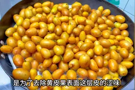 现在广东黄皮果大量上市，分享潮汕黄皮果酱做法，对喉咙很好