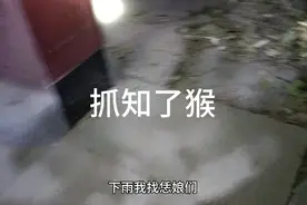 六月十六日晚上开始抓知了猴了