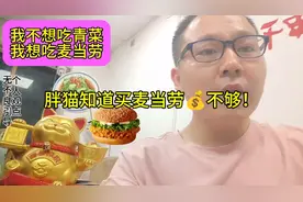 胖猫你跳下去的那一刻，你知道我们都在你身后嘛傻猫真的心痛…😼