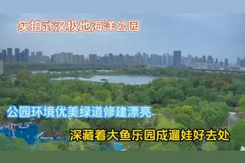 实拍武汉极地海洋公园，环境非常漂亮隐藏的大鱼乐园成遛娃宝藏地