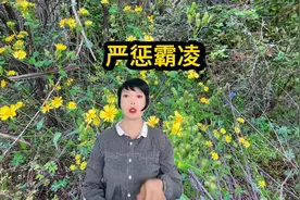 我国未成年人保护法已经将刑事责任人的年龄下调到了12周岁视频封面