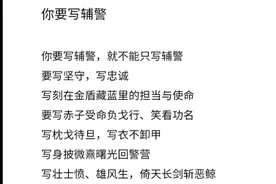 我的辅警兄弟们，祝你工作顺利，期望越来越强，相信越来越好！视频封面