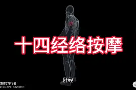 十四经络按摩视频封面