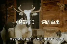 《替罪羊》一词的由来视频封面