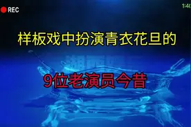 样板戏中扮演青衣花旦的9位老演员，你认为哪位扮相更好