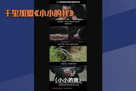 《小小的我》：在自然中寻找自我，感受生命之美！🌿🐍🐍🐍视频封面