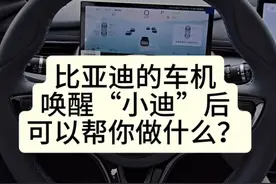 比亚迪海豹06GT，智能语音的具体操作～
