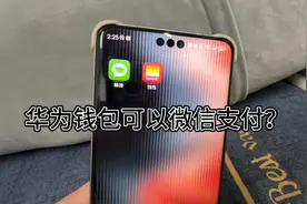 华为钱包可以微信支付？原谅我不懂。有人可以说一下嘛？#华为视频封面