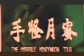 台湾绝版电影《蜜月怪手》（1980年/欧阳玲珑、李道洪、张冠龙）视频封面