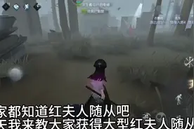 大形红夫人随从获取教程视频封面