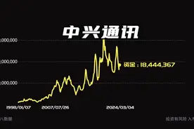 不装了我摊牌了！98年买入中兴通讯分红再买入，持有到今天变成这视频封面