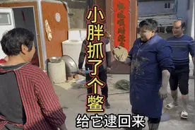 小胖和姥爷去钓鱼，竟然抓到一只大乌龟！小胖高兴坏了视频封面