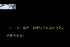 “九一八”那天，如果张学良奋起抵抗，结果会怎样？视频封面