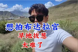 自驾到拉萨，想拍旱地拔葱太难了，连地方都没找到。视频封面