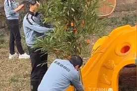 泼天的富贵 给奶妈奶爸们点赞 仪式感满满的爱 可爱真是太幸福了视频封面