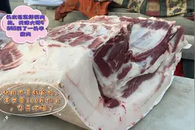 北方买肉太吓人，大哥4540买了一头半猪，美女要100斤排骨，真狠视频封面