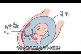 为什么胎儿不会在羊水中窒息？