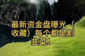 最新资金盘曝光视频封面