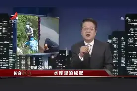 揭秘水库中的神秘生物，探索未知的奥秘！